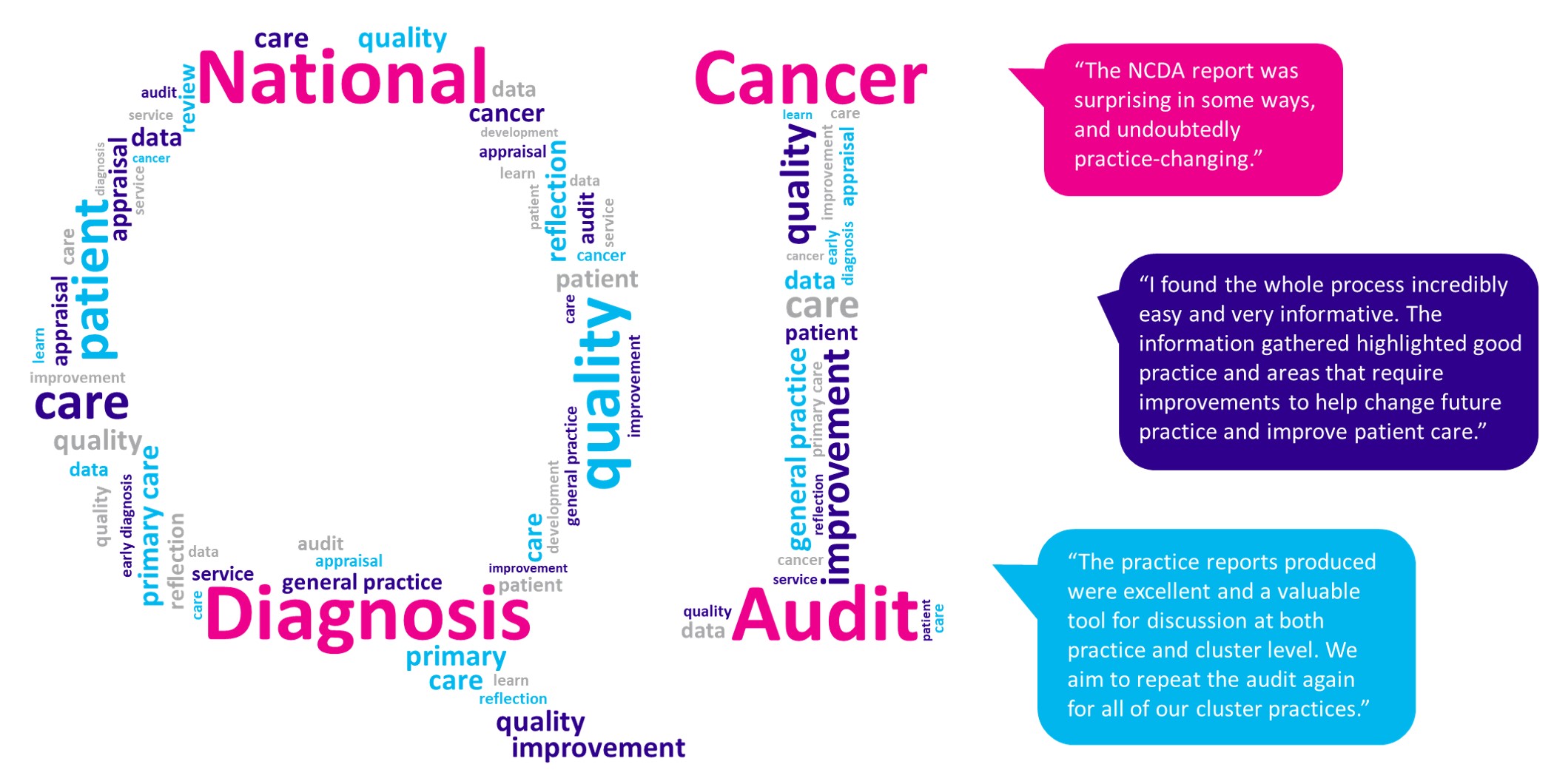 National Diagnosis Audit logo